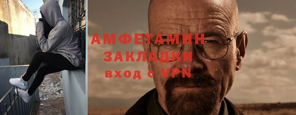 прущие грибы Белокуриха