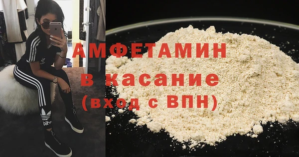 прущие грибы Белокуриха