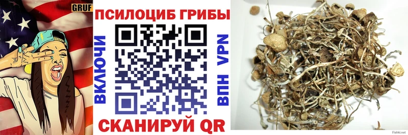 Псилоцибиновые грибы мицелий Нелидово